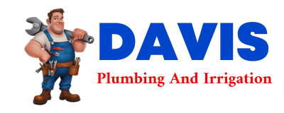 Trusted plumber in NEWPORT CENTER